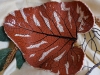 Schale Blatt "Interpretation2"