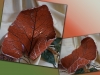 Schale Blatt "Interpretation3"