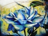 Die Blaue Rose